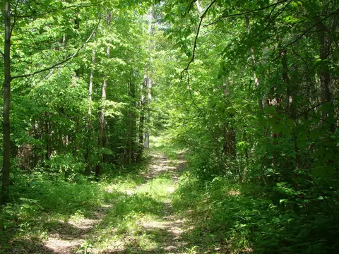 tbd Dam Rd, Emily, MN 56447 photo 12