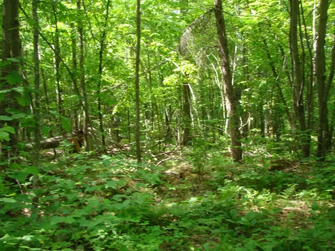 tbd Dam Rd, Emily, MN 56447 photo 10