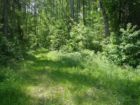 tbd Dam Rd, Emily, MN 56447 photo 9