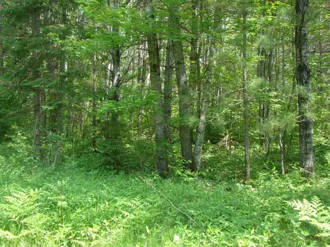 tbd Dam Rd, Emily, MN 56447 photo 8