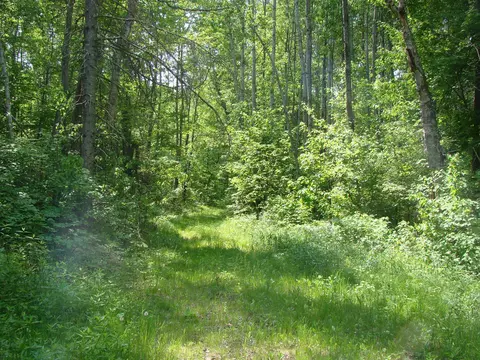 tbd Dam Rd, Emily, MN 56447 photo 11