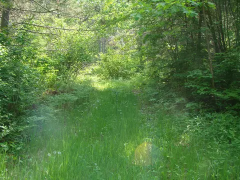tbd Dam Rd, Emily, MN 56447 photo 7