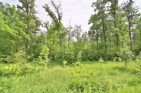 tbd Cypress Ln, Garrison, MN 56450 photo 4