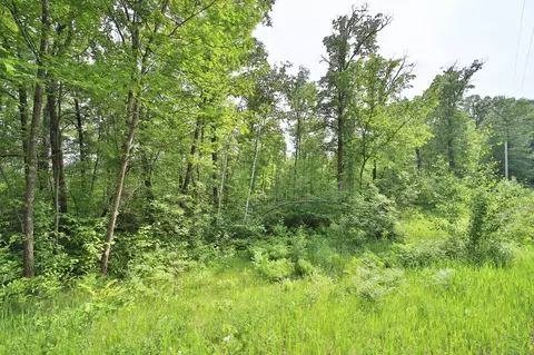 tbd Cypress Ln, Garrison, MN 56450 photo 5