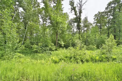 tbd Cypress Ln, Garrison, MN 56450 photo 7
