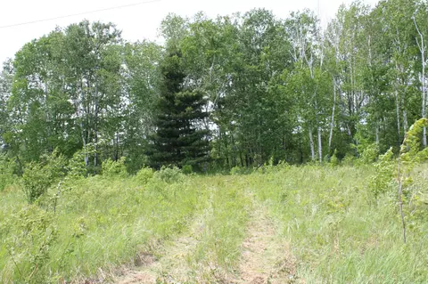 0 Sandhill, Munch Twp, MN 55063