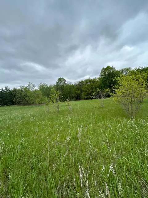 Nnn Calico Trail, Motley, MN 56466