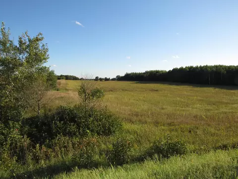 tbd 12th Parcel 8 St SW, Backus, MN 56435