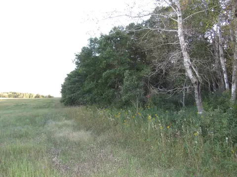 tbd 12th Parcel 8 St SW, Backus, MN 56435 photo 3