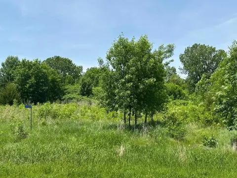 29036 Biehn Dr, Madison Lake, MN 56063