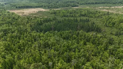 tbd Speckled Trout Rd, Sandstone, MN 55072