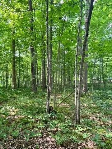 28 Nnn 89th Ave, Boyd, WI 54726 photo 7