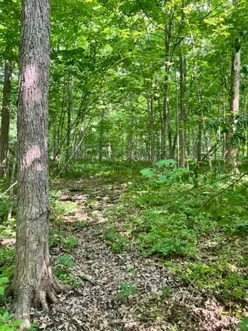 28 Nnn 89th Ave, Boyd, WI 54726 photo 9