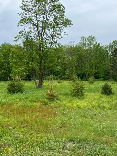 tbd Lake Ave, Luck Twp, WI 54853 photo 5