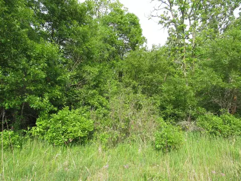 tbd Parcel 12 32nd Ave SW, Backus, MN 56435 photo 2