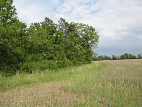 tbd Parcel 12 32nd Ave SW, Backus, MN 56435 photo 3