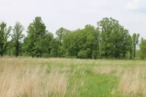 tbd Feeley 3, Feeley Twp, MN 55793