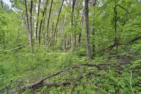 tbd Blue Ln E, Emily, MN 56447 photo 6