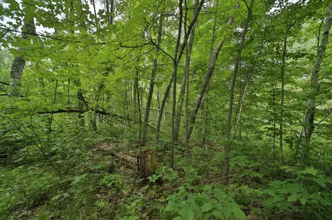 tbd Blue Ln E, Emily, MN 56447 photo 7