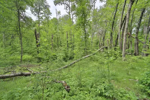 tbd Blue Ln E, Emily, MN 56447 photo 5