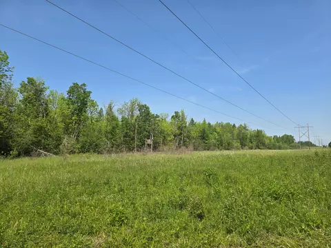 tbd Town Road 166, Littlefork, MN 56653 photo 4