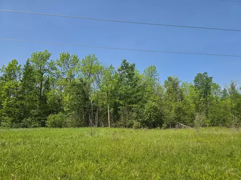 tbd Town Road 166, Littlefork, MN 56653 photo 5