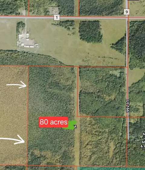 tbd Town Road 166, Littlefork, MN 56653 photo 11