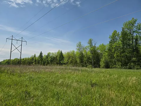 tbd Town Road 166, Littlefork, MN 56653 photo 2