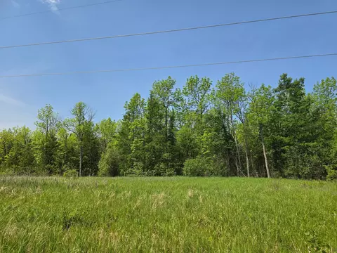 tbd Town Road 166, Littlefork, MN 56653 photo 3