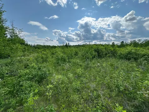 tbd Co 30 Rd, Laporte, MN 56461 photo 20