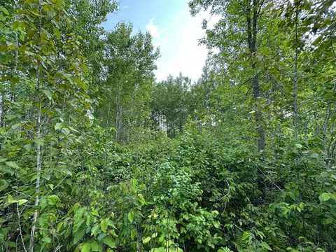 tbd Co 30 Rd, Laporte, MN 56461 photo 22
