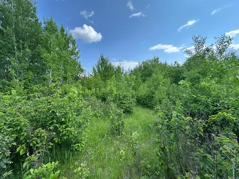 tbd Co 30 Rd, Laporte, MN 56461 photo 21