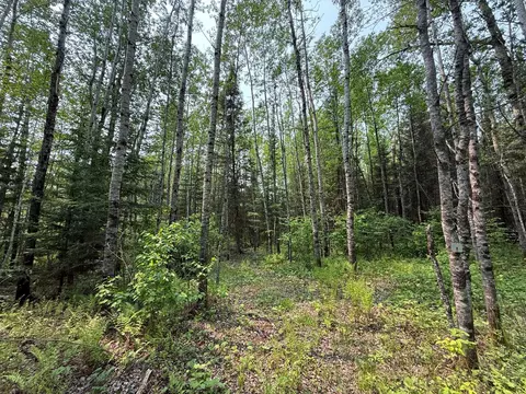 3707 Coe Rd, Aurora, MN 55705 photo 53
