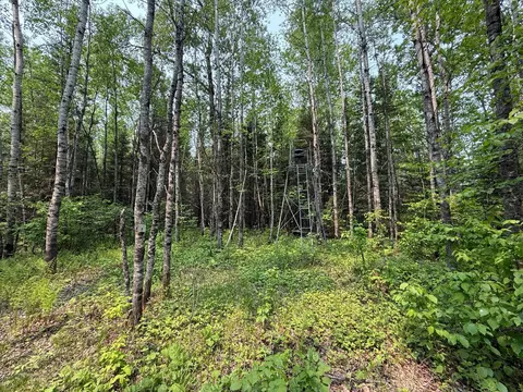 3707 Coe Rd, Aurora, MN 55705 photo 52