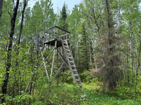 3707 Coe Rd, Aurora, MN 55705 photo 43