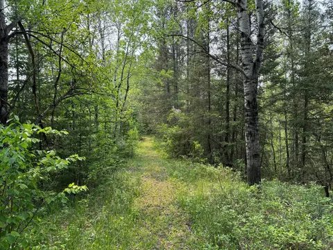 3707 Coe Rd, Aurora, MN 55705 photo 67