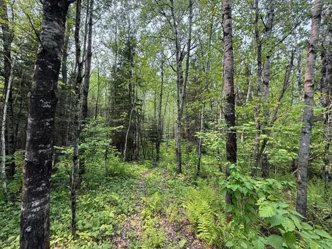 3707 Coe Rd, Aurora, MN 55705 photo 49