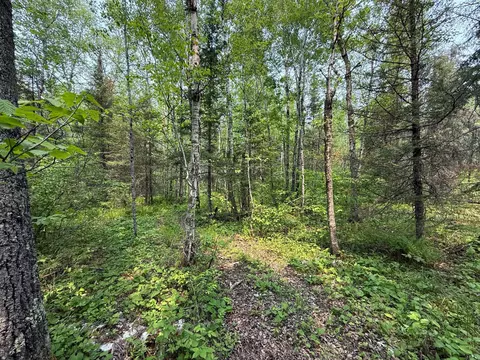 3707 Coe Rd, Aurora, MN 55705 photo 38