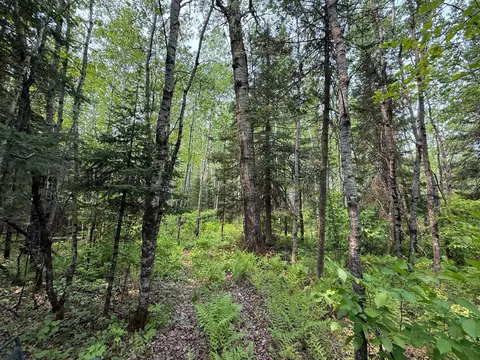 3707 Coe Rd, Aurora, MN 55705 photo 50