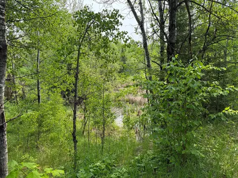 3707 Coe Rd, Aurora, MN 55705 photo 66