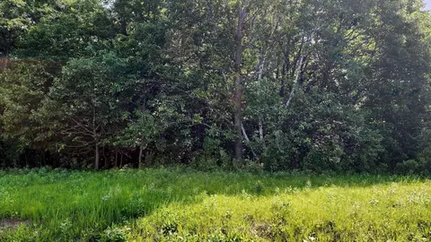 tbd 95th St, Black Brook Twp, WI 54001