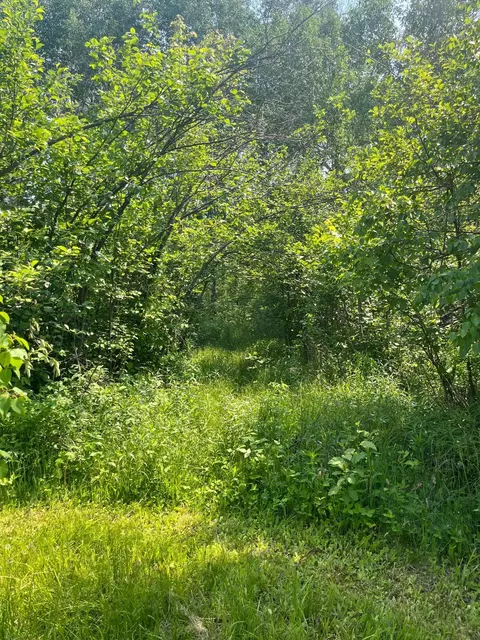 3967 Silver Rd, Kettle River, MN 55757 photo 12