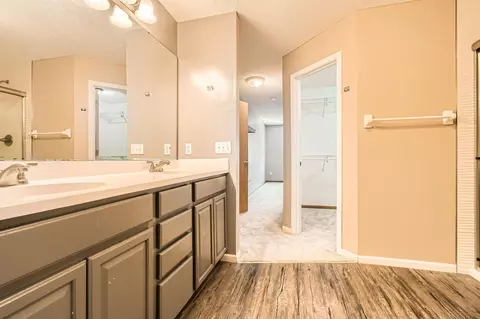 Bath - 604 Crane Creek Ln, Eagan, MN 55121 photo 2 of 5