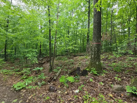 tbd Bollenbacher Rd, Brainerd, MN 56401 photo 6