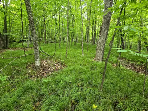 tbd Bollenbacher Rd, Brainerd, MN 56401 photo 9