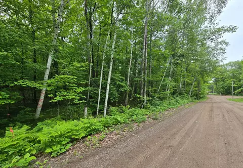 tbd Bollenbacher Rd, Brainerd, MN 56401 photo 3