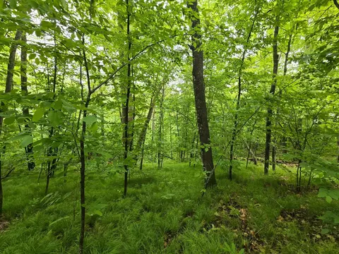 tbd Bollenbacher Rd, Brainerd, MN 56401 photo 8