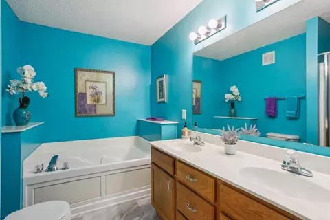 Bath - 3307 Coleshire Path, Rosemount, MN 55068 photo 2 of 4