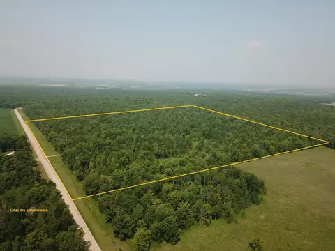 17650 Mosquito Creek Rd, Minerva Twp, MN 56621