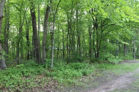 47393 209th Pl, Mcgregor, MN 55760 photo 28
